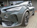 Cupra Formentor bei Gebrauchtwagen.expert - Abbildung (14 / 15)