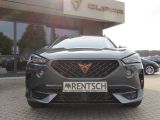 Cupra Formentor bei Gebrauchtwagen.expert - Abbildung (13 / 15)
