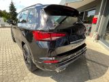Cupra Ateca bei Gebrauchtwagen.expert - Abbildung (10 / 15)