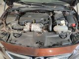 Opel Insignia bei Gebrauchtwagen.expert - Abbildung (14 / 15)