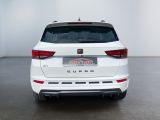 Cupra Ateca bei Gebrauchtwagen.expert - Abbildung (5 / 15)