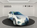 Kia Niro bei Gebrauchtwagen.expert - Abbildung (7 / 15)