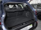Renault Kadjar bei Gebrauchtwagen.expert - Abbildung (11 / 15)
