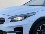 Kia XCeed bei Gebrauchtwagen.expert - Abbildung (5 / 15)