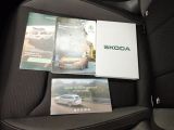 Skoda Fabia bei Gebrauchtwagen.expert - Abbildung (10 / 15)