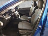 Skoda Octavia bei Gebrauchtwagen.expert - Abbildung (7 / 15)