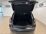 Ford Kuga bei Gebrauchtwagen.expert - Abbildung (9 / 15)