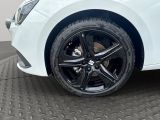 Seat Leon bei Gebrauchtwagen.expert - Abbildung (11 / 14)