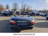 Jaguar XK bei Gebrauchtwagen.expert - Abbildung (7 / 15)