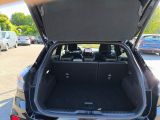 Ford Puma bei Gebrauchtwagen.expert - Abbildung (12 / 15) Ford Puma bei Gebrauchtwagen.expert - Abbildung (12 / 15)