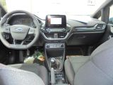 Ford Fiesta bei Gebrauchtwagen.expert - Abbildung (11 / 14)