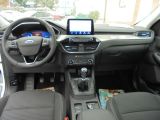 Ford Kuga bei Gebrauchtwagen.expert - Abbildung (3 / 10)