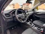 Ford Kuga bei Gebrauchtwagen.expert - Abbildung (12 / 15)