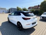 Opel Grandland X bei Gebrauchtwagen.expert - Abbildung (9 / 11)