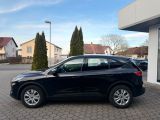 Ford Kuga bei Gebrauchtwagen.expert - Abbildung (6 / 15)