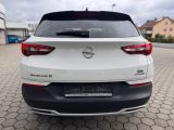 Opel Grandland X bei Gebrauchtwagen.expert - Abbildung (6 / 15)