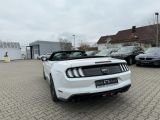 Ford Mustang bei Gebrauchtwagen.expert - Abbildung (13 / 15)