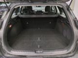 Kia Ceed bei Gebrauchtwagen.expert - Abbildung (12 / 13)