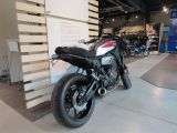 Yamaha XSR bei Gebrauchtwagen.expert - Abbildung (3 / 15)