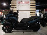 Yamaha Andere bei Gebrauchtwagen.expert - Abbildung (3 / 15)