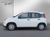 Fiat Panda bei Gebrauchtwagen.expert - Abbildung (4 / 15)