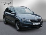 Skoda Karoq bei Gebrauchtwagen.expert - Abbildung (3 / 15)