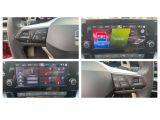 Seat Leon bei Gebrauchtwagen.expert - Abbildung (9 / 15)