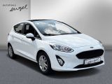 Ford Fiesta bei Gebrauchtwagen.expert - Abbildung (3 / 15)