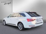 Skoda Superb bei Gebrauchtwagen.expert - Abbildung (6 / 15)