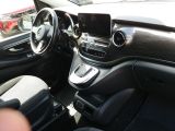 Mercedes-Benz 250 bei Gebrauchtwagen.expert - Abbildung (10 / 15)