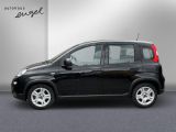 Fiat Panda bei Gebrauchtwagen.expert - Abbildung (5 / 12) Fiat Panda bei Gebrauchtwagen.expert - Abbildung (5 / 12)