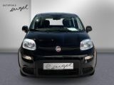 Fiat Panda bei Gebrauchtwagen.expert - Abbildung (3 / 13)