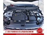 VW T-Roc bei Gebrauchtwagen.expert - Abbildung (9 / 15)