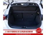 Nissan Micra bei Gebrauchtwagen.expert - Abbildung (14 / 15)