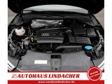 Audi Q3 bei Gebrauchtwagen.expert - Abbildung (8 / 15)