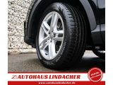 Audi Q3 bei Gebrauchtwagen.expert - Abbildung (7 / 15)