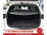 Hyundai i30 cw bei Gebrauchtwagen.expert - Abbildung (11 / 15)