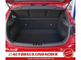 Hyundai i30 bei Gebrauchtwagen.expert - Abbildung (12 / 15)