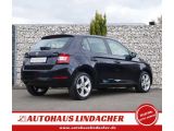 Skoda Fabia bei Gebrauchtwagen.expert - Abbildung (6 / 15)