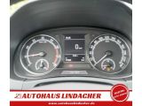 Skoda Fabia bei Gebrauchtwagen.expert - Abbildung (10 / 15)