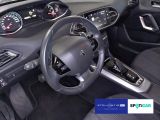 Peugeot 308 bei Gebrauchtwagen.expert - Abbildung (14 / 15)