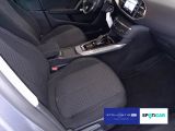 Peugeot 308 bei Gebrauchtwagen.expert - Abbildung (10 / 15)