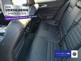 Alfa Romeo Giulia bei Gebrauchtwagen.expert - Abbildung (10 / 15)