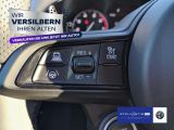 Alfa Romeo Giulia bei Gebrauchtwagen.expert - Abbildung (14 / 15)