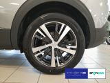 Peugeot 3008 bei Gebrauchtwagen.expert - Abbildung (11 / 15)