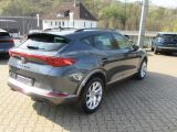 Cupra Formentor bei Gebrauchtwagen.expert - Abbildung (6 / 14)