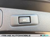 Renault Talisman bei Gebrauchtwagen.expert - Abbildung (14 / 15)