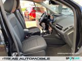 Ford EcoSport bei Gebrauchtwagen.expert - Abbildung (13 / 15)