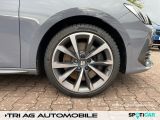 Cupra Leon bei Gebrauchtwagen.expert - Abbildung (13 / 15)