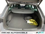 Cupra Leon bei Gebrauchtwagen.expert - Abbildung (12 / 15)